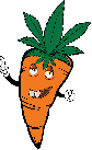 baby carrot